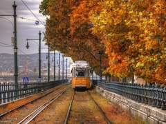 [상원경훈] 만추(晩秋)