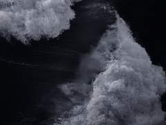 담해연 / XY / 인어