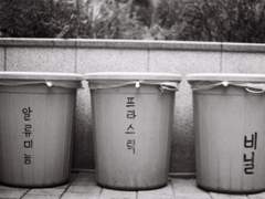 만약 내 눈알이 흑백 필름이라면?