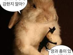 도망치고 싶어!!! 하지만 마주 봐야 해!!!!!