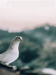 [신비아파트]귀신 제패기 _릴레이 소설