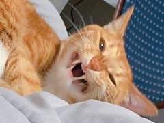 인격부자 가이드