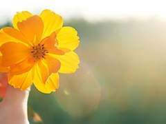 행복이 거기 있다, 한 점 의심도 없이