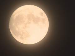 [이영싫] 신도 그럴 수는 없을 거야.