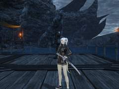 FFXIV 6.11 한섭 절 용시 공대 구합니다