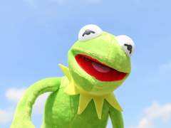 나눔 목록 (22.09.01)