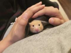 금쪽이가 무서운 꿈 꾸고 일어났을 때 고르기