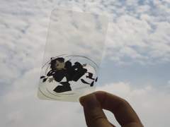 당보 , 청명 투명 포카