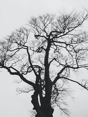 [종려루미] 도깨비