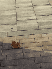 당신이 잊은 9월의 일기