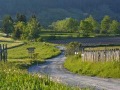 여름개학이 필요해