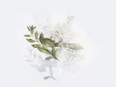 달 끝울음에 차오르는 종막의 비탄.