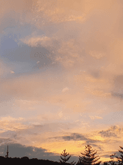 별거는 아니지만 그냥 내 이야기