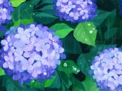 루벤 어거스트 발렌시아 / 래번클로 / XY / 머글