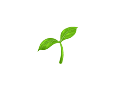 처음이 아니지만 모든게 처음인.