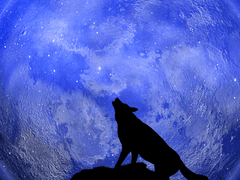 05. 달이 비추는 길