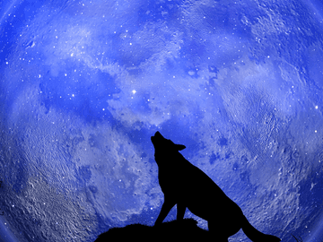 05. 달이 비추는 길