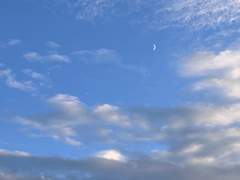 あなたが幸せだったらいいな。