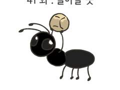 41화 . 돌아갈 곳