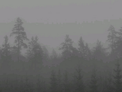 [우총] 늘 3-해리포터 세계관