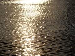 [단편] 이제노 포기하기 프로젝트