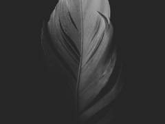 [매브아이스] 이카로스와 추락 (上)