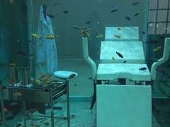 가장 굳센 상어족 용병이자, 히어로