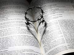 I ᗯIᒪᒪ ᗷE ᗩ ᕼᗩᑭᑭY ᑭᖇIᑎᑕEᔕᔕ!