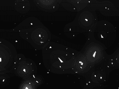 내가 어떤 대답을 했었어야 할까.