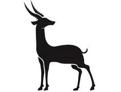 가젤이 사람보다 낫지