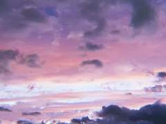 카산드라 뷰포트 / 래번클로 / XX / 혼혈