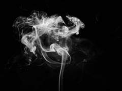 말라비틀어진 담배 한 갑.