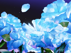 [유료] 리시안셔스