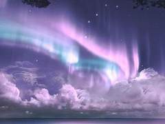 에스텔커 {아이리스 벨} 19