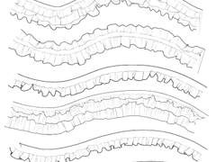 검은소 프릴 브러쉬