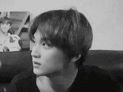 개새끼 갱생 시키기 포롤로그