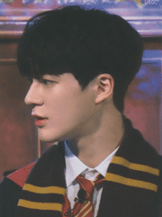 NCT DREAM 센티넬 X 해리포터 세계관