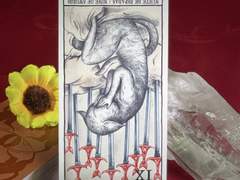 이번 주의 카드: 9 of Swords reversed