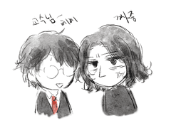 [해리포터]해리스네 모음