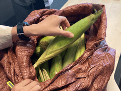 못난이 채소를 구하는 회사의 불금