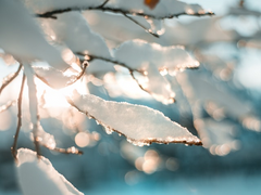 [특수강화계/1학년] 편가윤