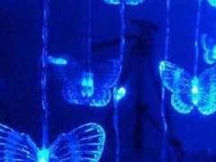 나루 공개 프로필