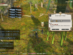 신종 식물은 저 하늘로