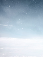 [시호] 늑대와 까마귀의 나라