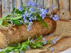 DAYA TRPG시나리오 공지