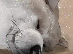 덕주리 로맨스 12