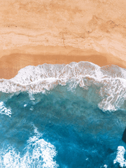 달 꽃이 피는 바다