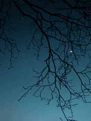 조각별이 잇는 이야기