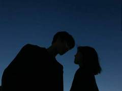 𝑽𝒖𝒍𝒑𝒆𝒔