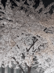 이안가은 장편 로판